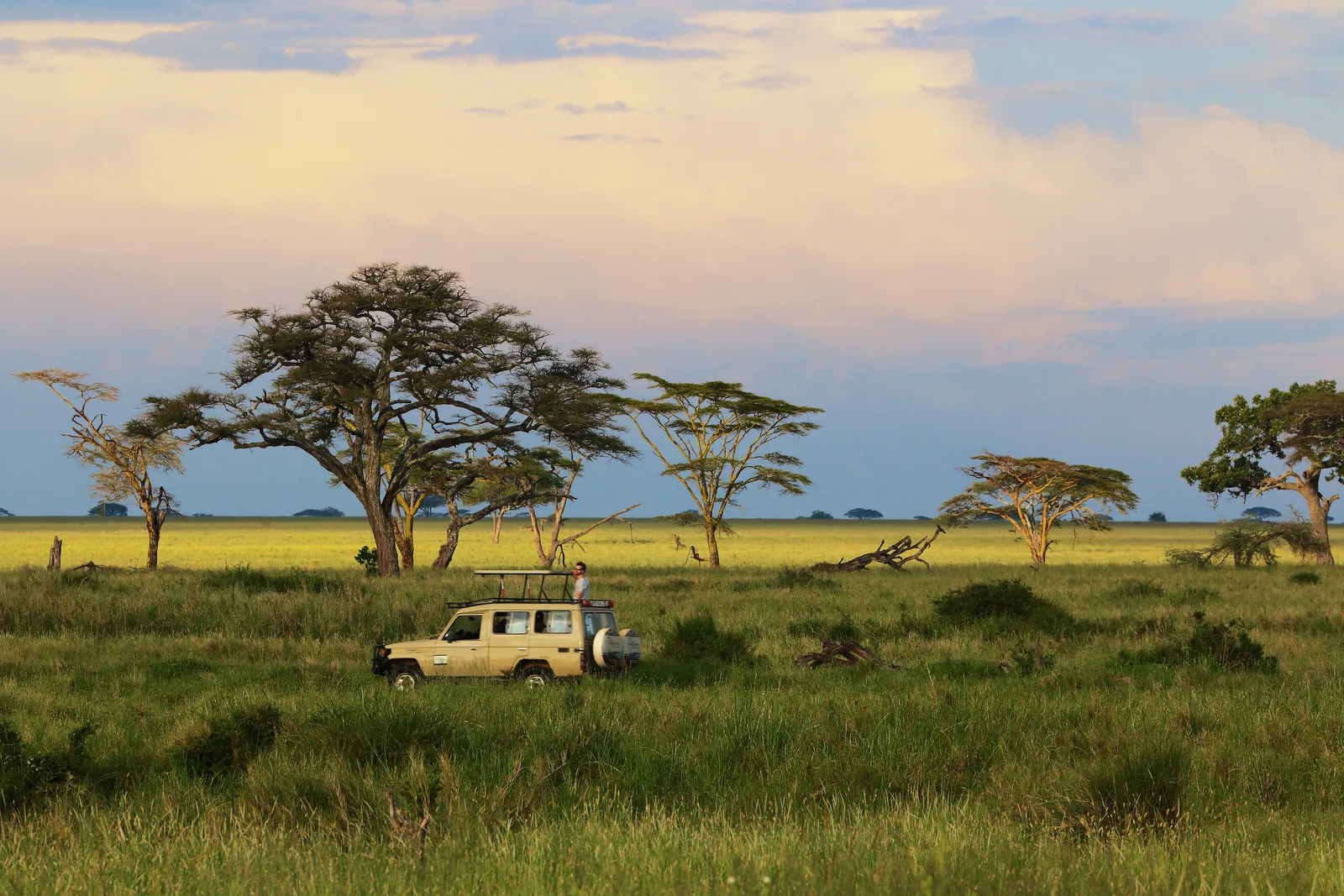 TANZANIA-GettyImages-668505932